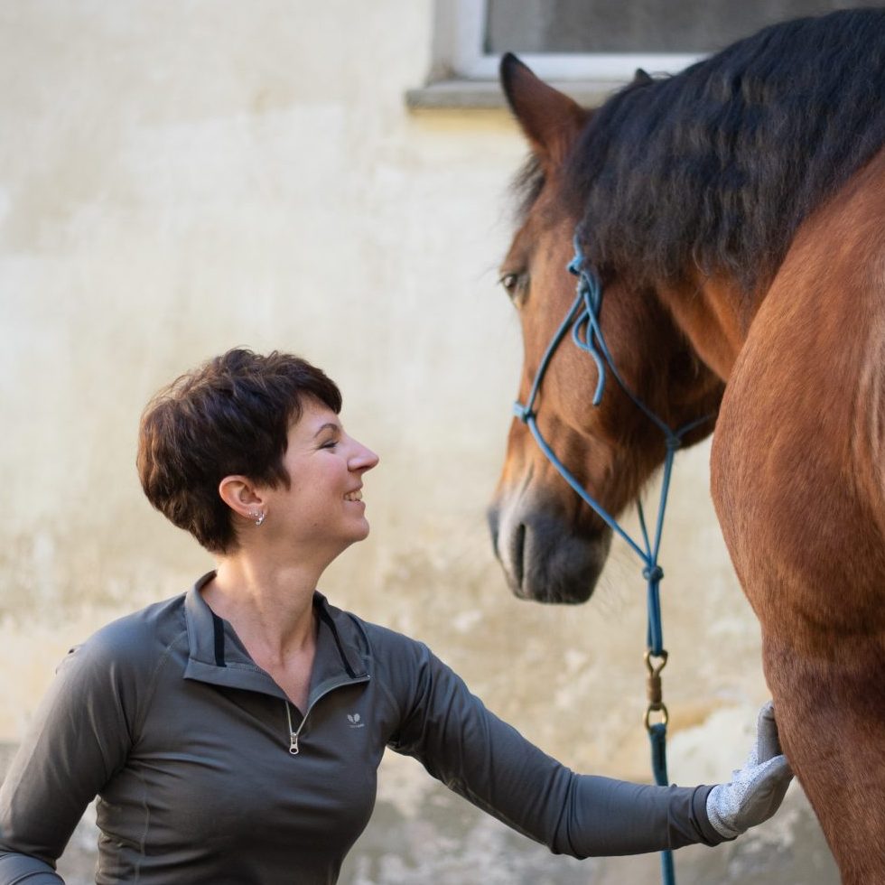 huforthopädie-pferdetraining-julia-jachs-steyr