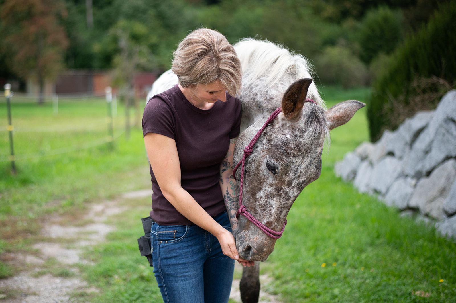 Businessshooting Julia Jachs - Pferdetraining