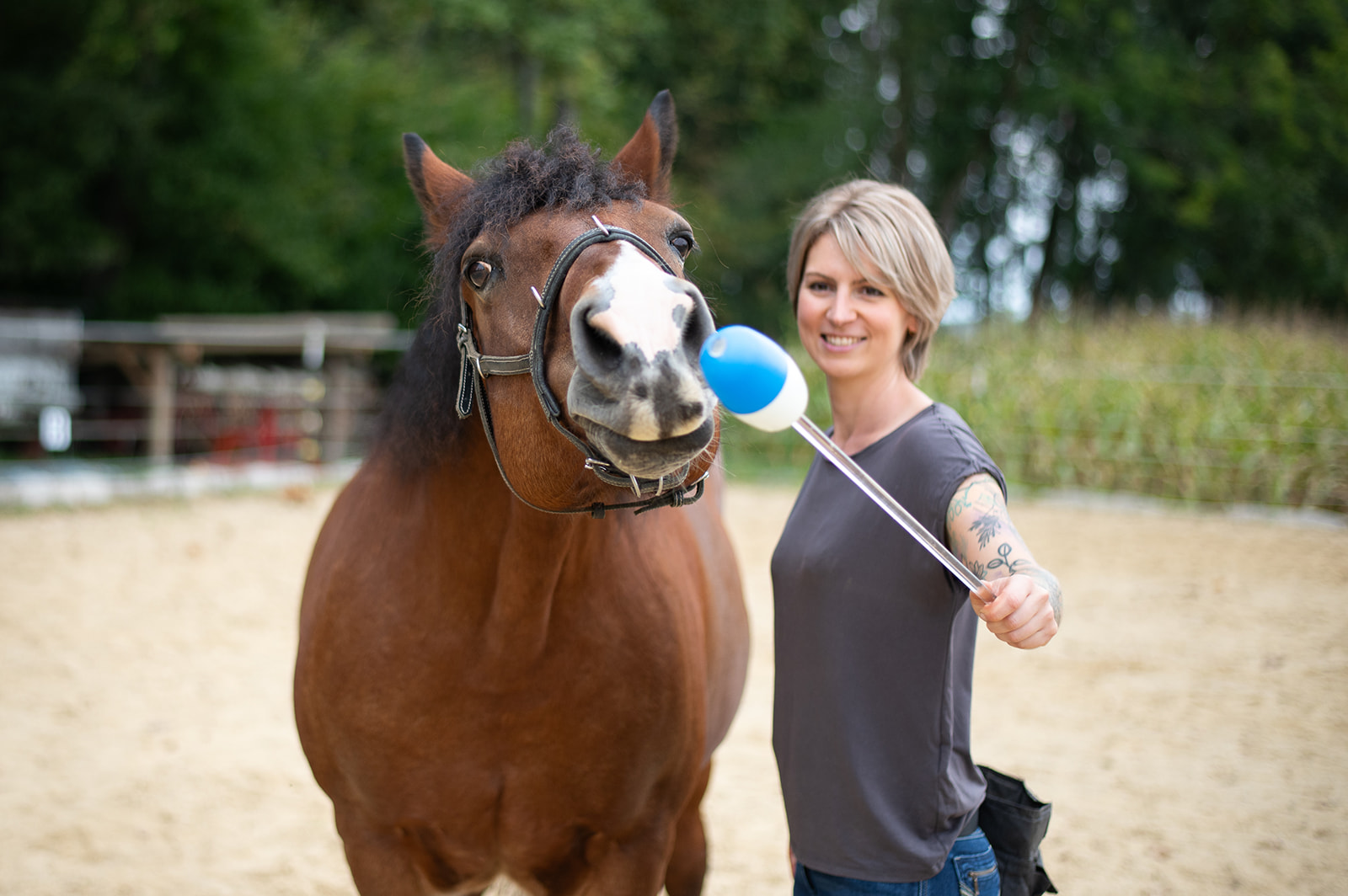 Businessshooting Julia Jachs - Pferdetraining