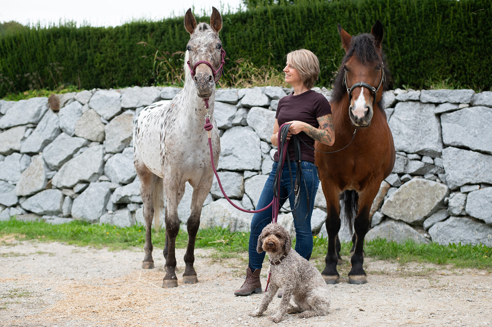 Businessshooting Julia Jachs - Pferdetraining