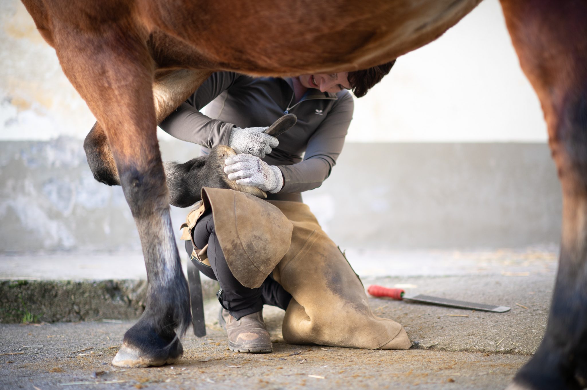 Julia, Viola und Sunny